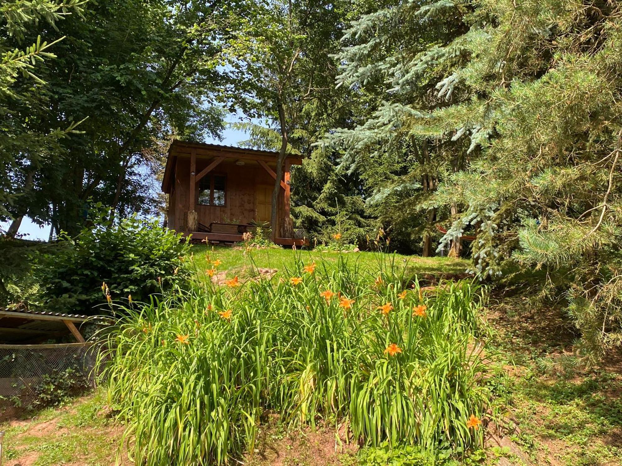 Tiny Resort Chotevice 1 Kottwitz Exterior photo